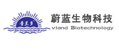济南网站建设公司